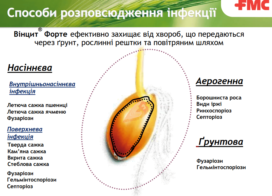 Вінцит Форте