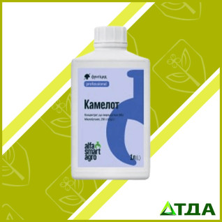 Камелот фунгицид 