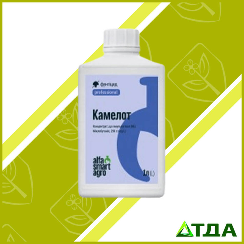 Камелот фунгицид 