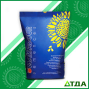 Семена подсолнечника Mas 93.CP/Мас 93.СР Clearfield Plus