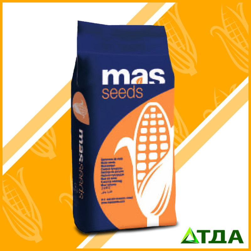 Семена кукурузы Mas 36.A/Мас 36.А ФАО 300