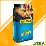 Семена кукурузы DKC 3969 / ДКC 3969 ФАО 320