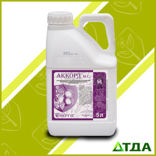 Аккорд фунгицид 