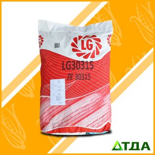 Кукуруза ЛГ 30315 ФАО 280