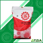 Подсолнечник ЛГ 5580 Круизер