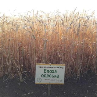 Епоха Одеська