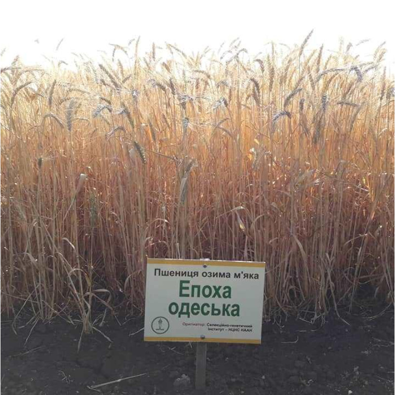 Эпоха Одесская